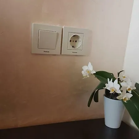 Malavi Ruse! Comfort&clean!